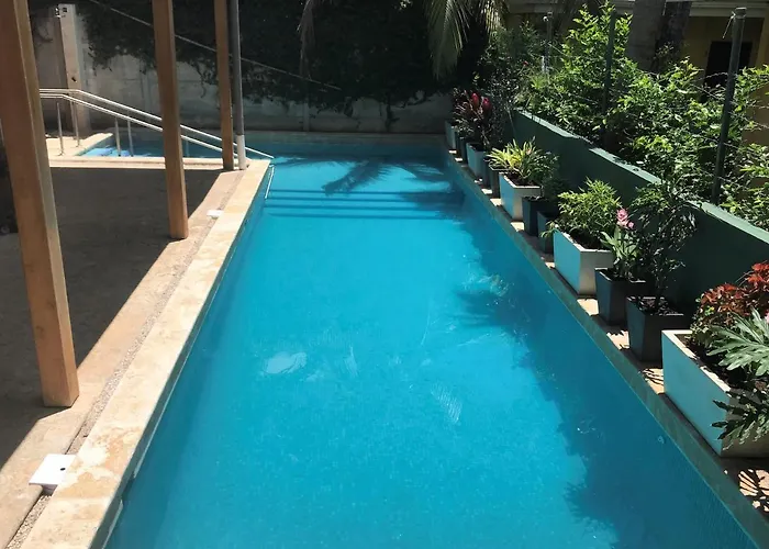 Casa Papito